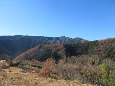 権現山山稜 