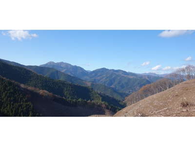 土俵岳北尾根から三頭山 