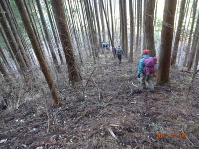 林道が近い 