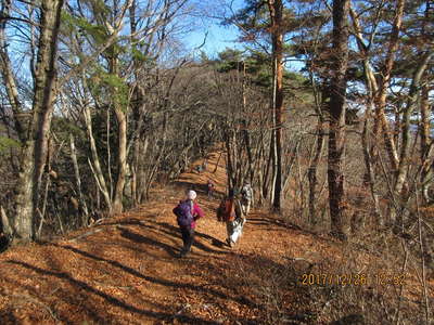 扇山へ