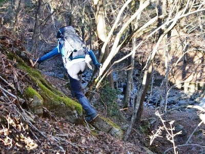 右岸の斜面を這い上がる 