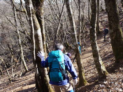 一般登山道に合流 