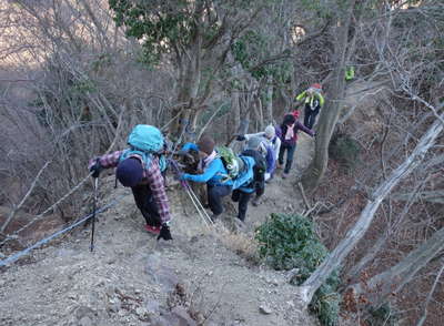 大沢分岐下の痩せ尾根.