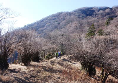 大山東面を行く日影山の山頂