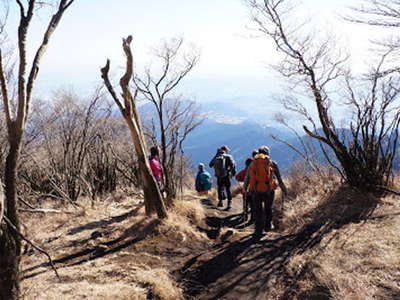 雷ノ峰尾根