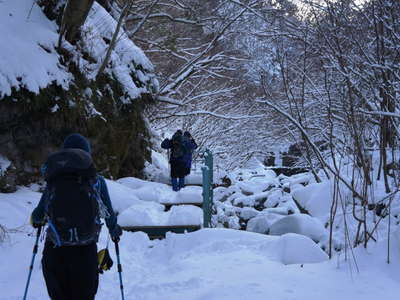 雪の用木沢 