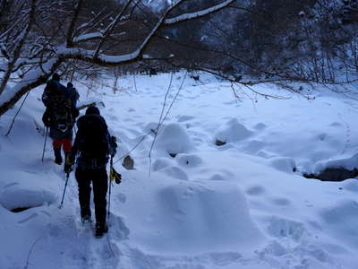 樹林帯に入る 