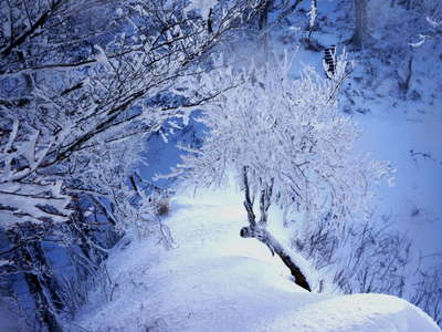 雪に包まれた幻想的なコル 