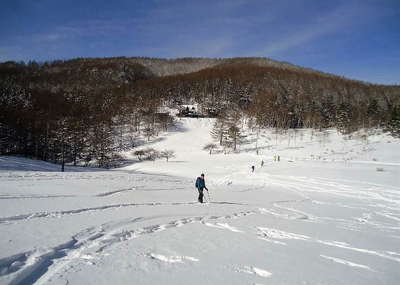 樹林を抜け雪の原の入笠湿原 