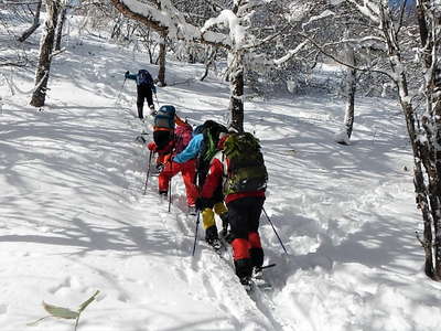 段々と登りらしい登りに 