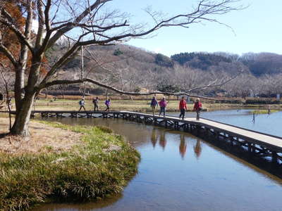 厳島湿性公園にて 