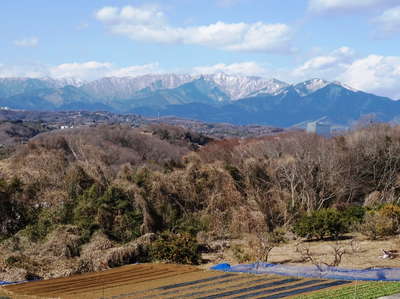 富士見台付近から丹沢山塊 