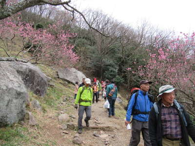 幕山公園に下る