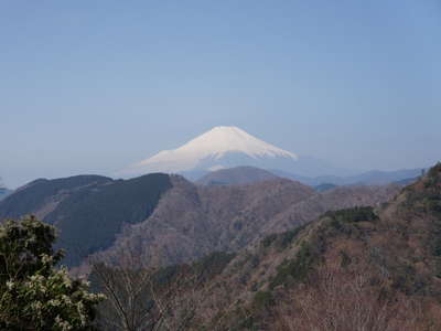 日向山からの富士山 