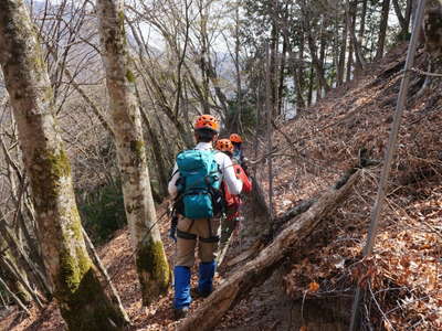 芋ノ沢ノ頭山頂の鹿柵 