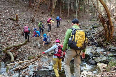 樹林帯を登る登山道