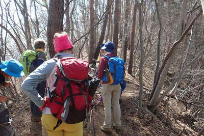 高畑山への登り返し