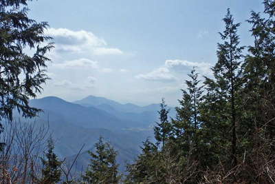 高畑山の山頂