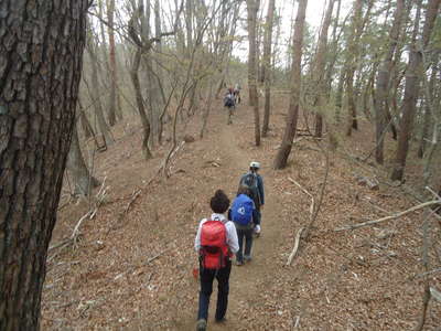 兜山山頂へ尾根道を進む