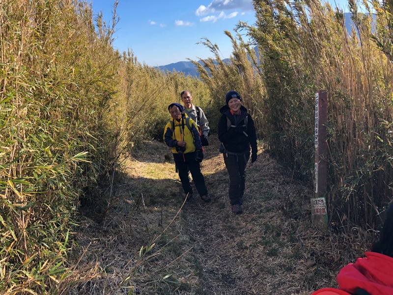 矢倉沢峠から火打石岳手前までこの様な笹の道が続く