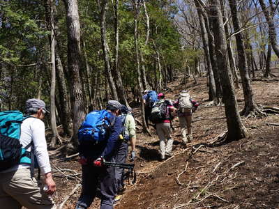 塔ノ岳西尾根の登山道 