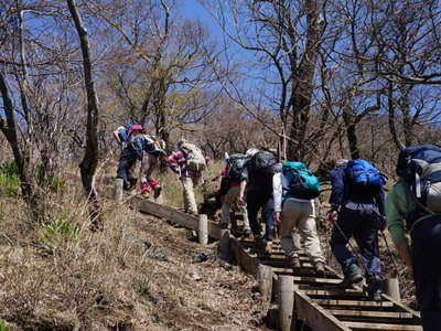 山頂手前の木階段 