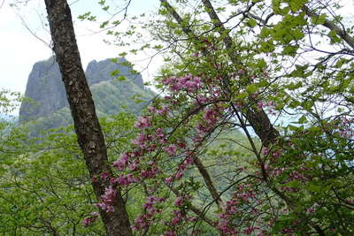 稜線から眺める鹿岳の岩峰