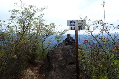 一ノ岳の山頂