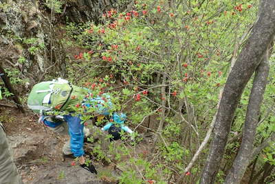 ロープや鎖を下り高原の登山口へ