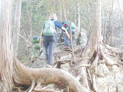 宗屋敷尾根、露岩混じりの細尾根 