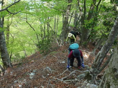 宗屋敷尾根1200ｍ付近の急登 