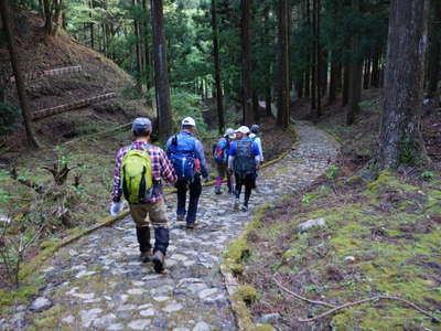 西丹沢県民の森 