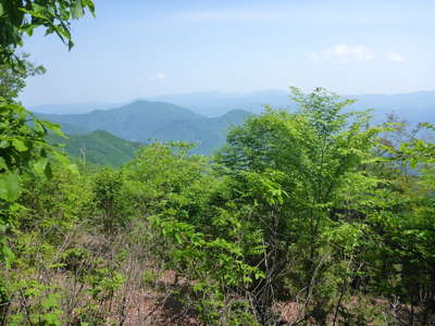 西沢ノ頭より　扇山～百蔵山 