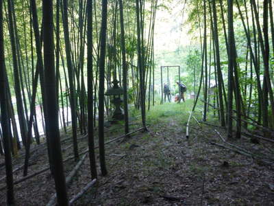 竹林から鹿柵を抜け下山する 