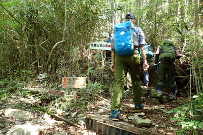 毛無山と地蔵峠の分岐