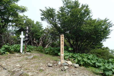 毛無山の山頂 