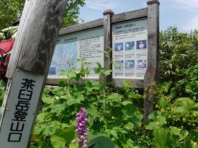 茶臼登山口 