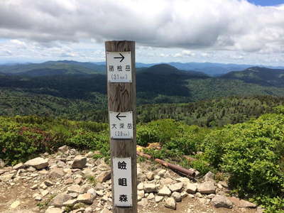 嶮岨森山頂 