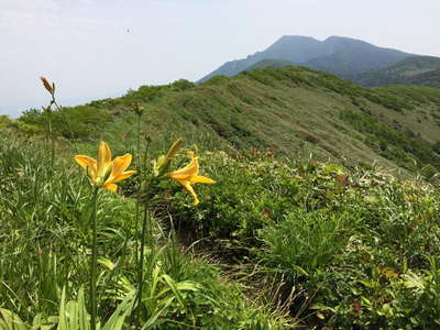 岩手山が近くなった 