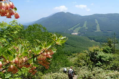 振り返ると篭ノ登山と池ノ平 