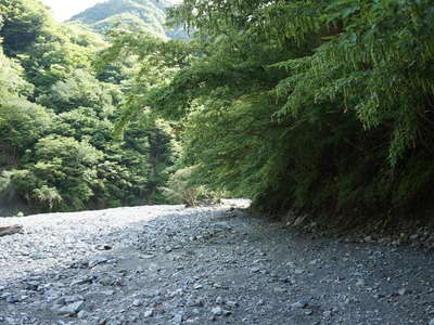 神ノ川の左岸を辿る 