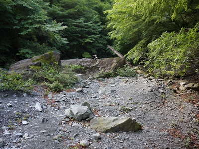 大岩が現れる 