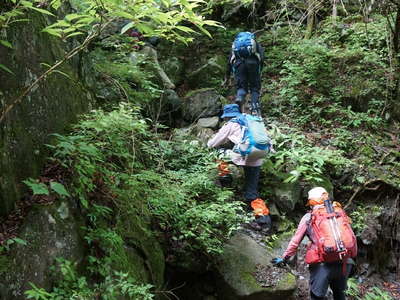 金山谷側の左岸の岩壁を攀じ登る 