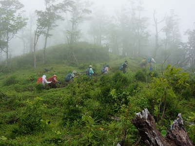 檜洞丸のガスった登山道 