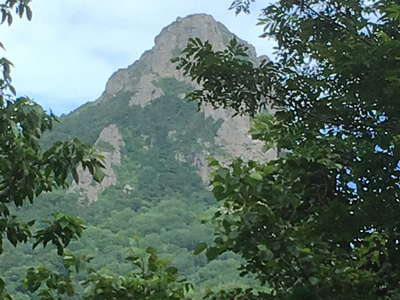 縫道石山 