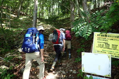 登山口からは樹林帯の登り