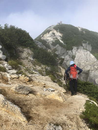 山頂が見えた!