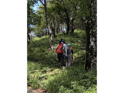 大室山への尾根道 