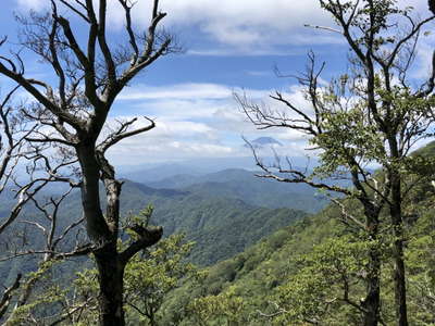 尾根道よりの富士山 