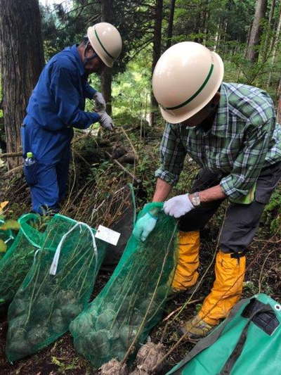 苗の配布 